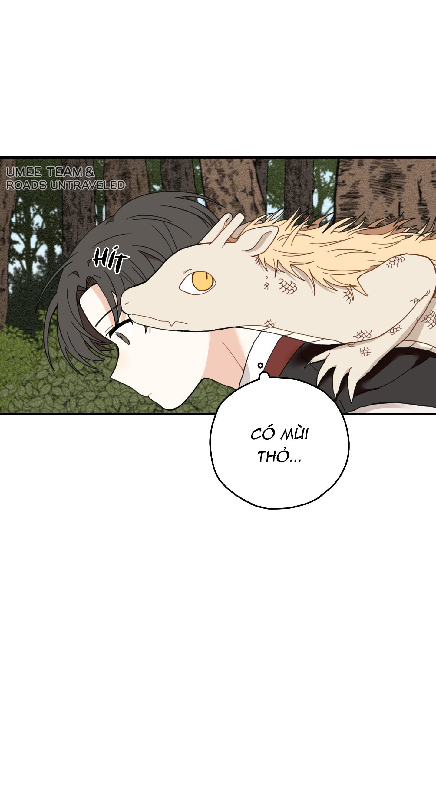 đường hoa liên kiều rơi chapter 6 73