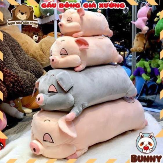 Gấu Bông Heo Phê Cần, Heo Mắt Híp Lợn Ngủ Đờ Đẫn Siêu Yêu size 40cm