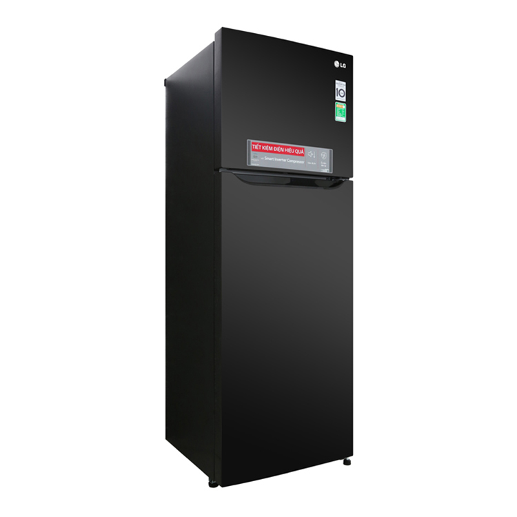 Tủ Lạnh Inverter LG GN-M315BL (315L) - Hàng chính hãng