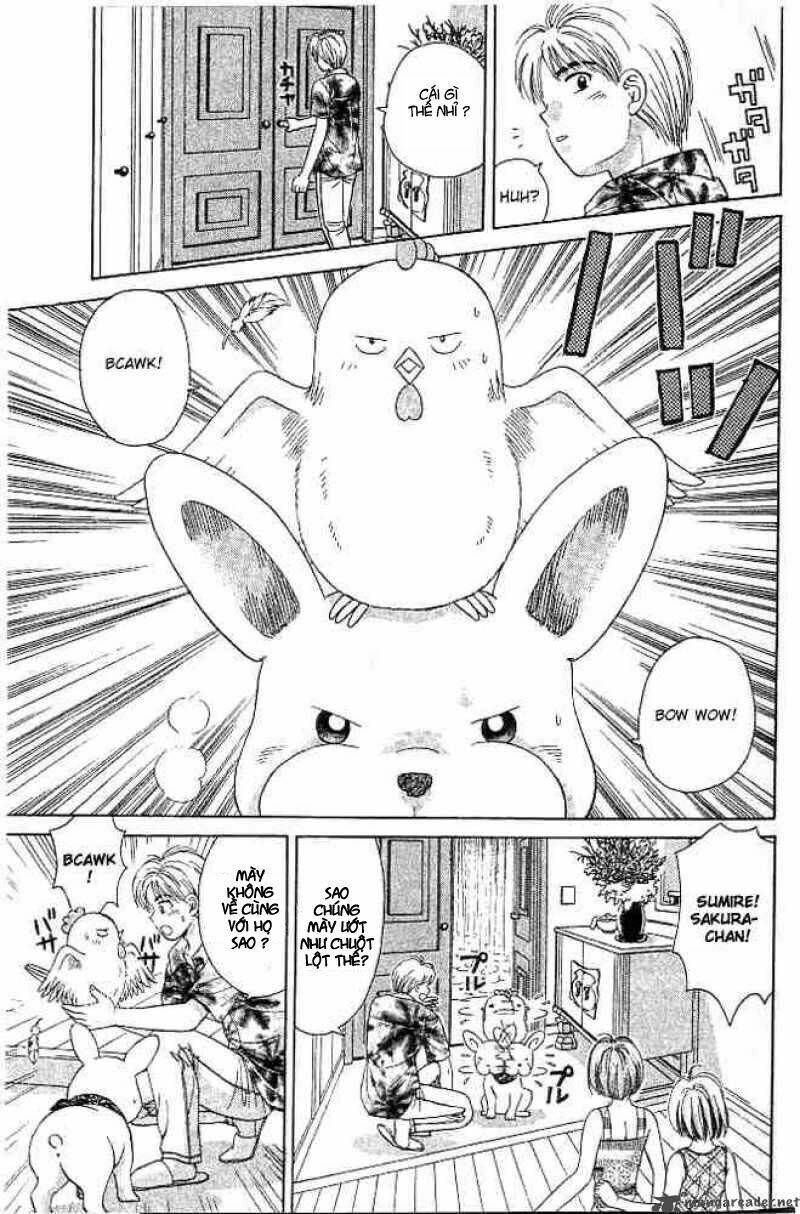 open sesame chapter 28 9