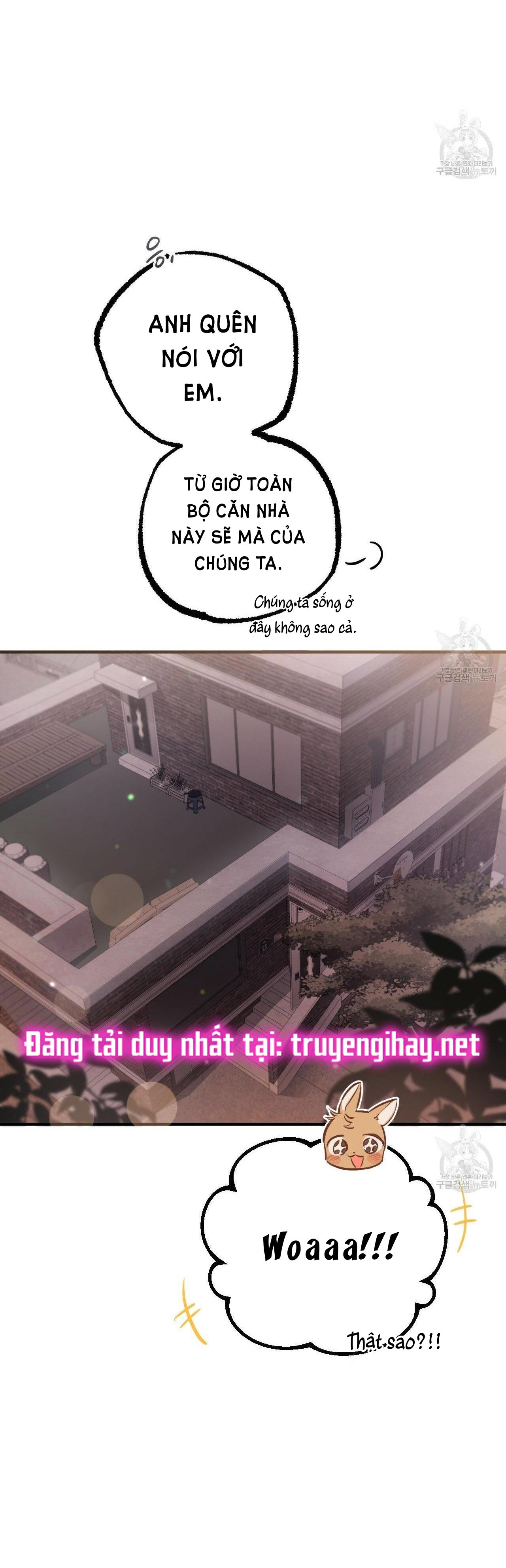 những chú thỏ của hapypy chapter 51.2 22