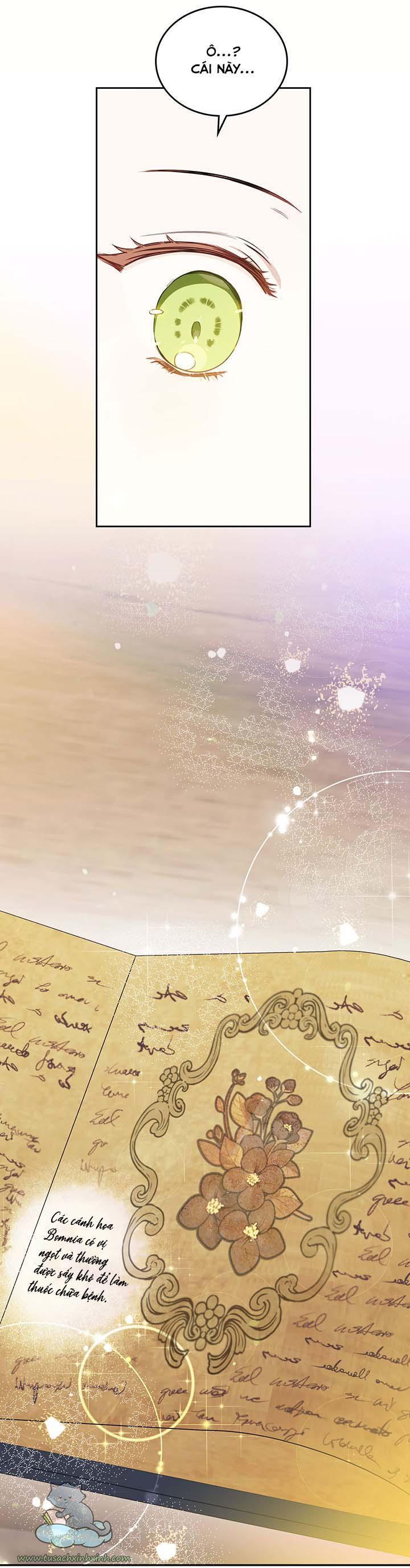 kiếp này ta sẽ trở thành gia chủ chapter 70 24