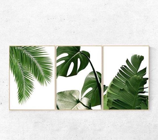 Tranh CANVAS bộ 3 tấm hình lá cây