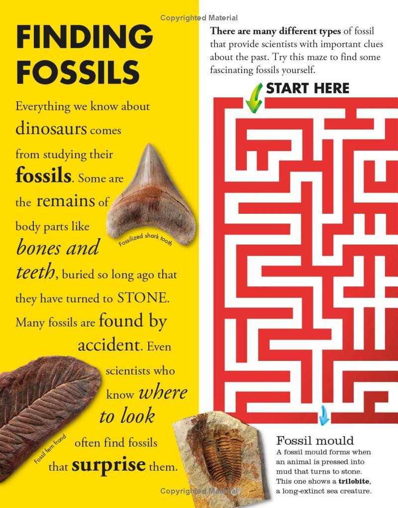 Sách ngoại văn: Everything You Need To Know About Dinosaurs