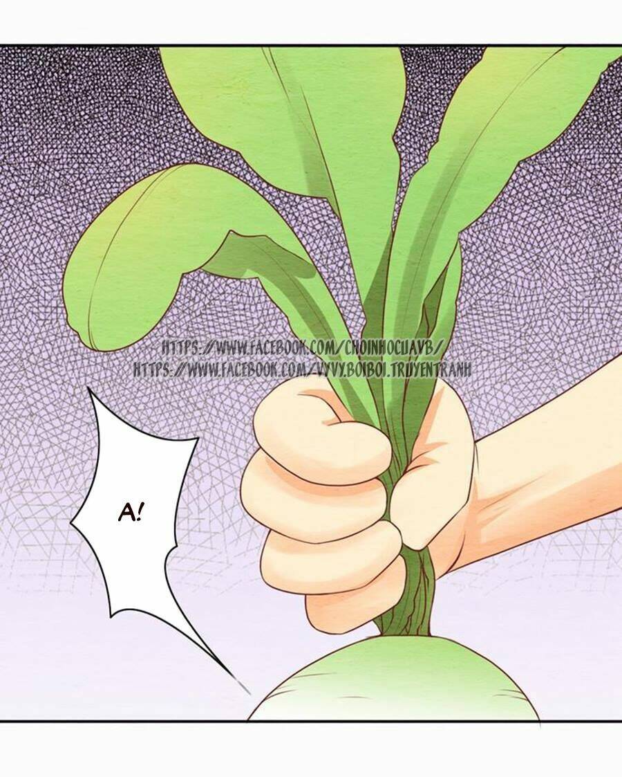 nhân hoa duyên chi sư phụ đại nhân cầu sủng ái chapter 5 14