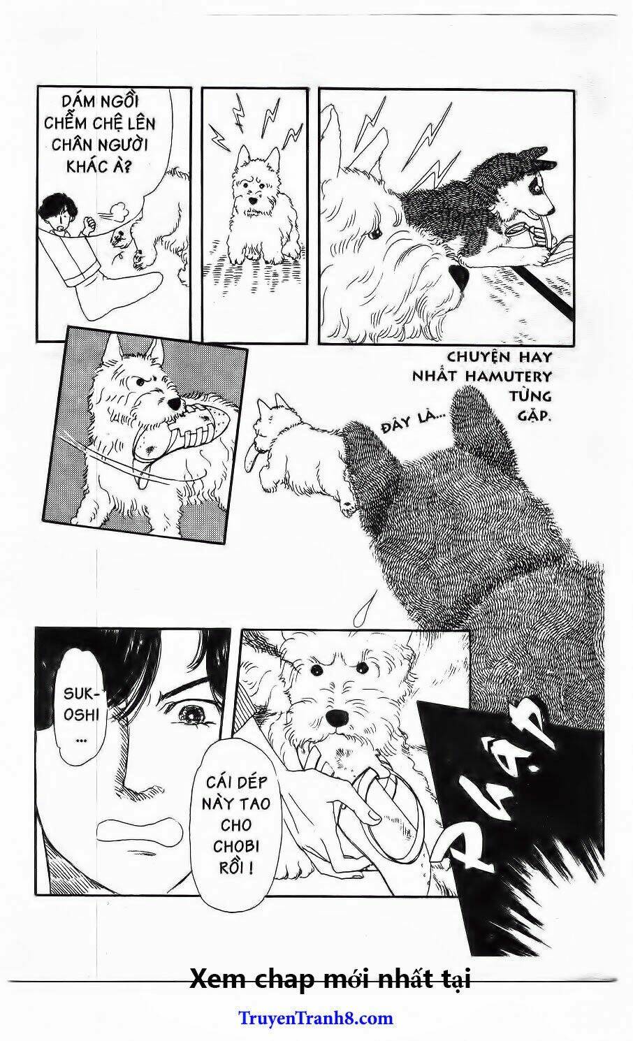 doubutsu no oishasan chapter 20 20