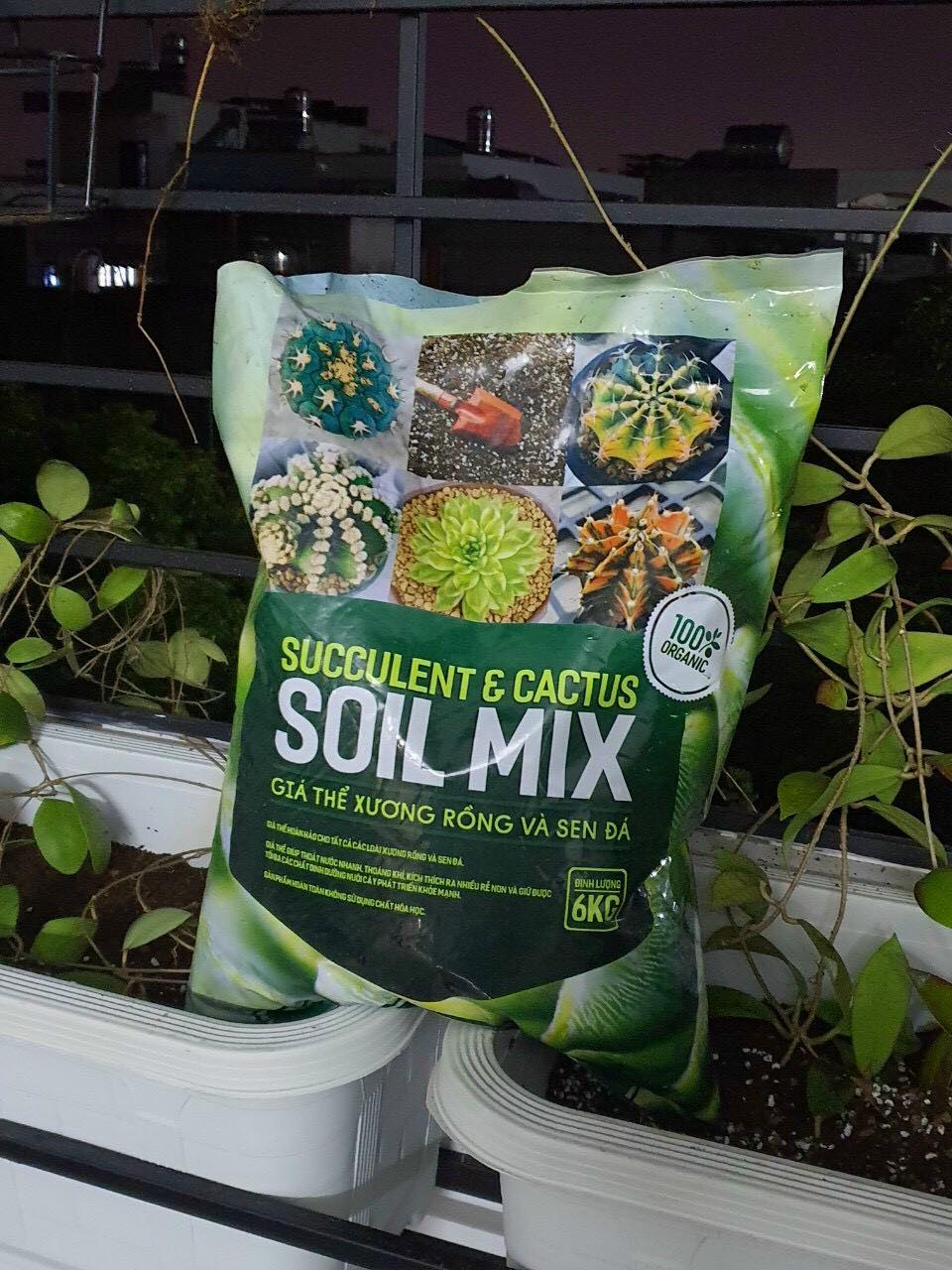 Giá thể Soil Mix đất trồng Sen đá, Xương rồng trộn sẵn túi 1kg