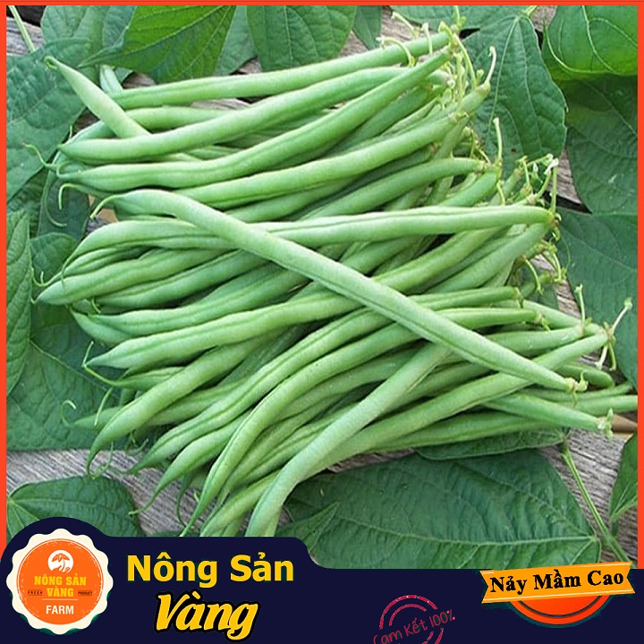 Hạt giống Đậu Cove Hạt Đen Dễ Trồng - Nông Sản Vàng