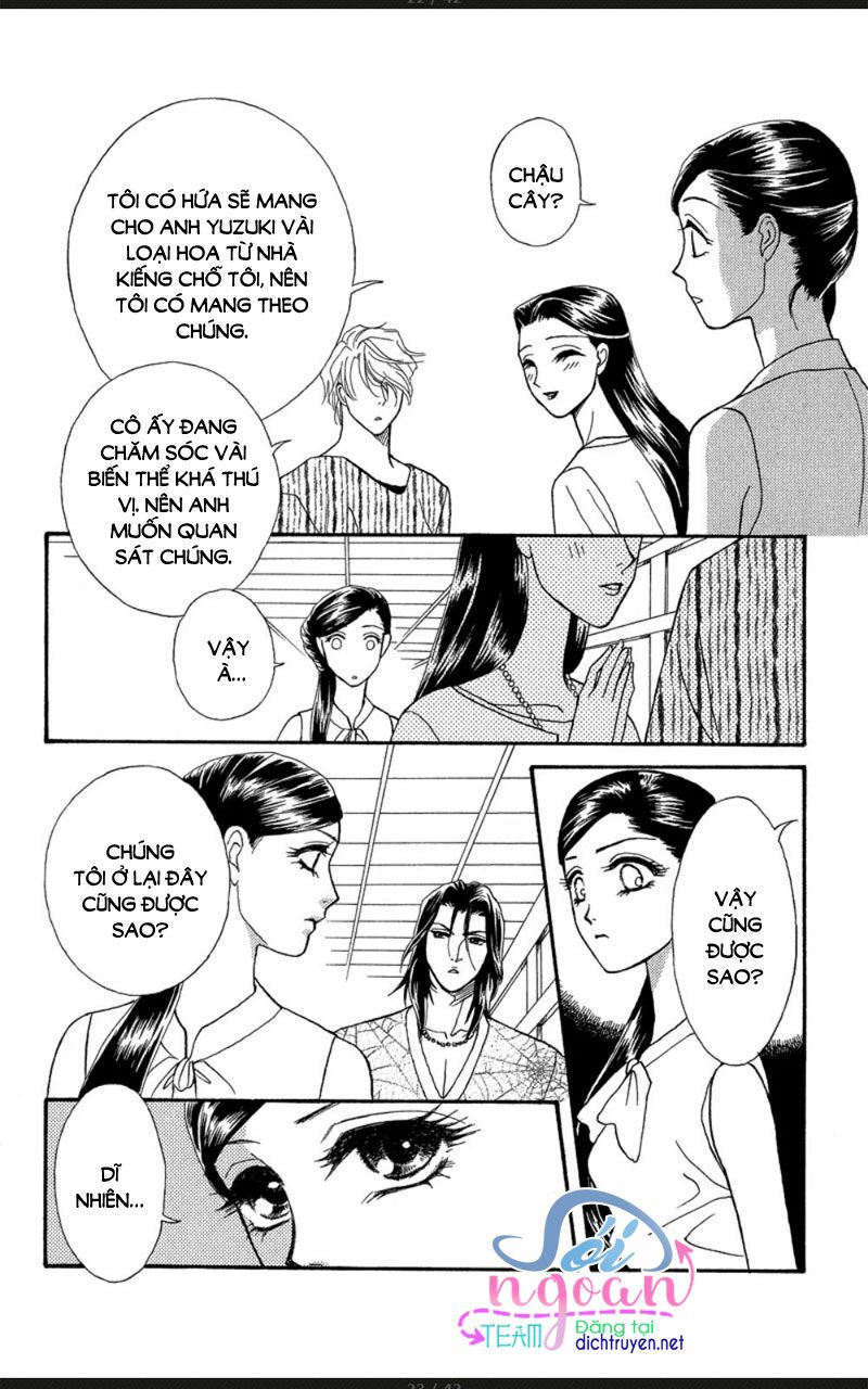 đóa hồng dành tặng seri chapter 16 16