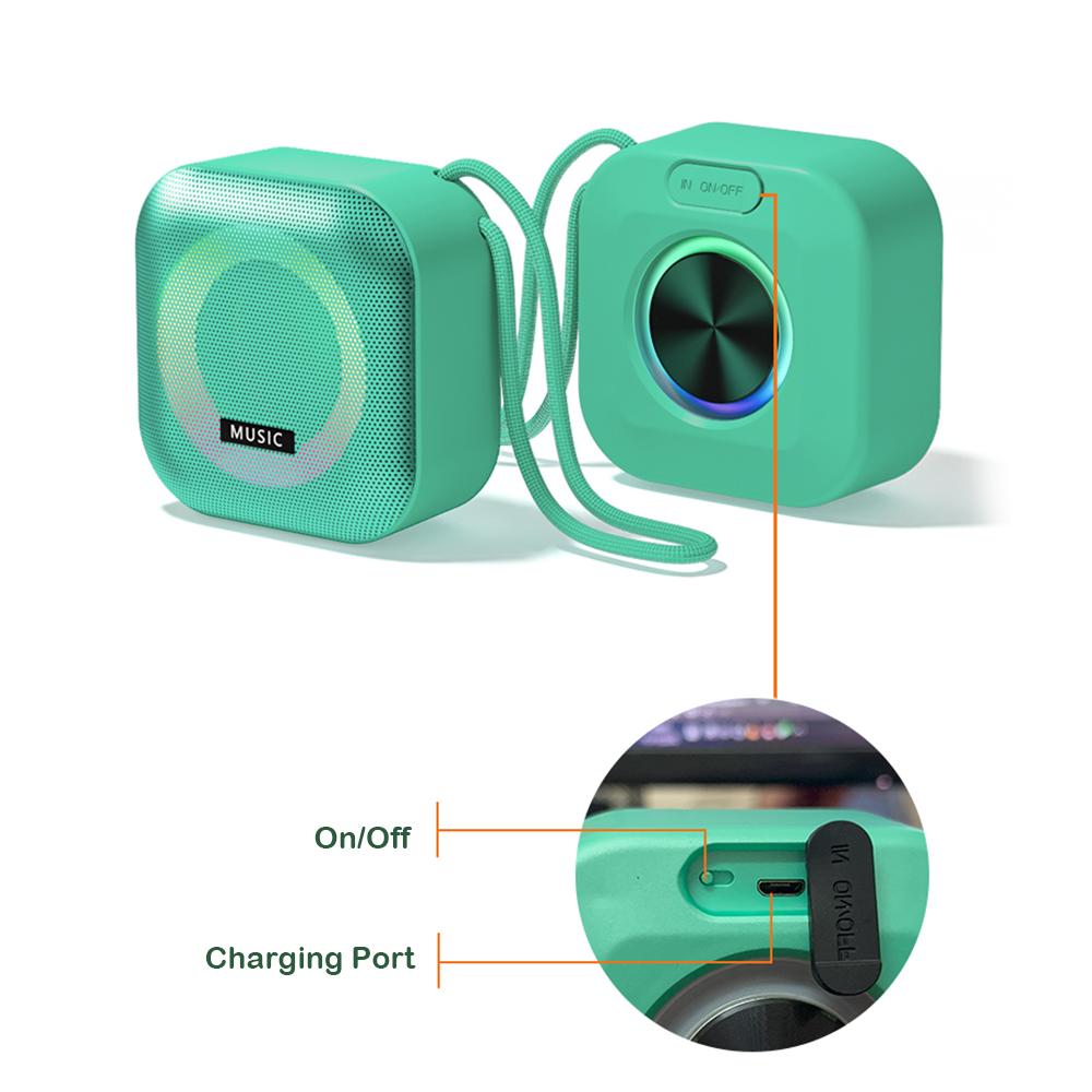 Loa âm nhạc âm nhạc di động Caixa de Som Bluetooth loa với LED Light Outdoor Mini không dây âm thanh Subwofer thanh âm thanh âm thanh âm thanh Color: Other