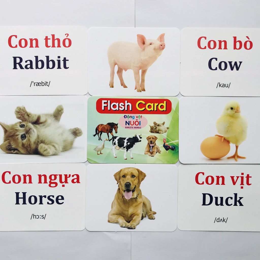 Bộ Thẻ Học Thông Minh 19 CHỦ ĐỀ Loại To Song ngữ tiếng Anh loại chuẩn Glenn Doman Flashcard cho bé từ 0-6 tuổi