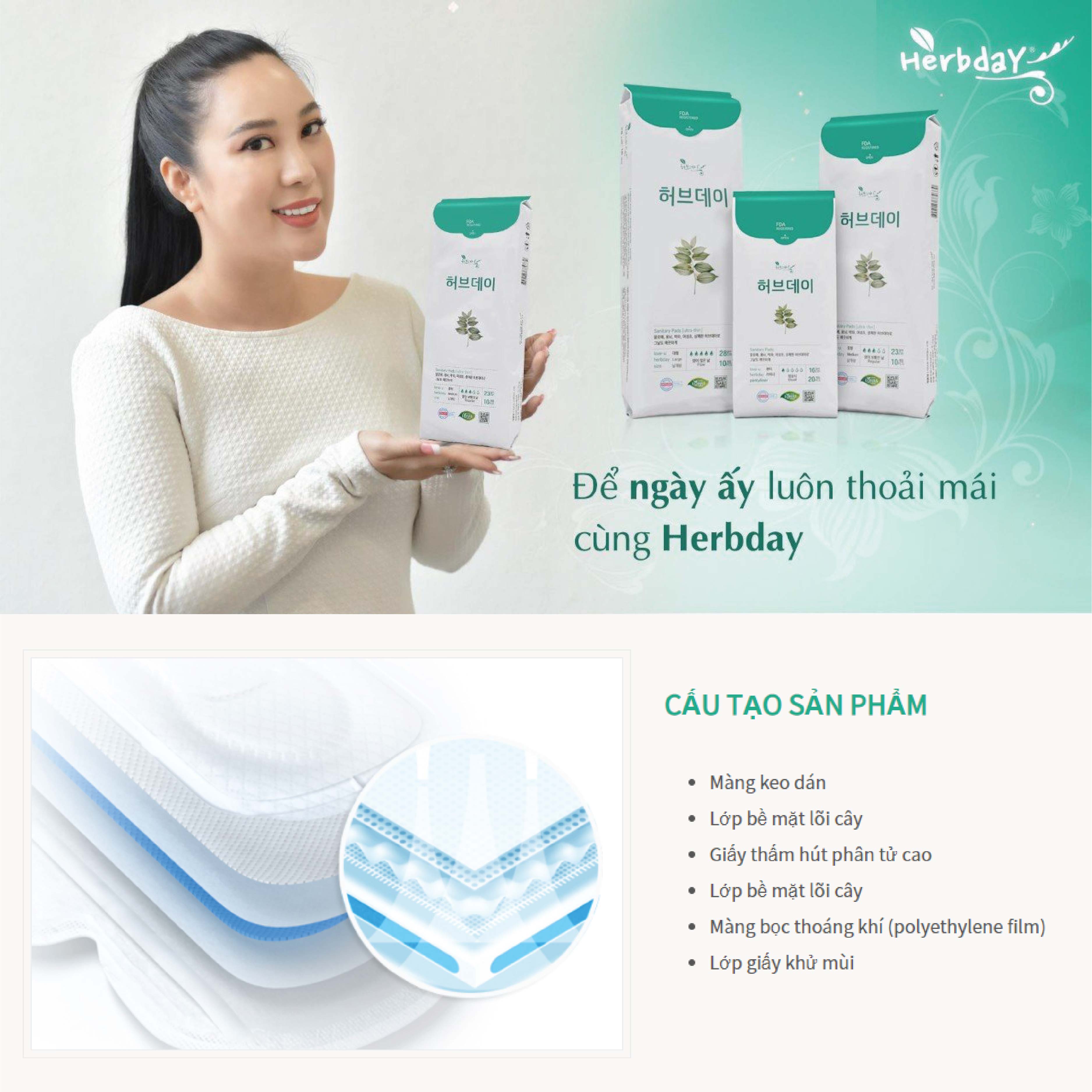 Băng vệ sinh Ban đêm - Ngày nhiều Large Size Thảo dược Herbday - 28cm