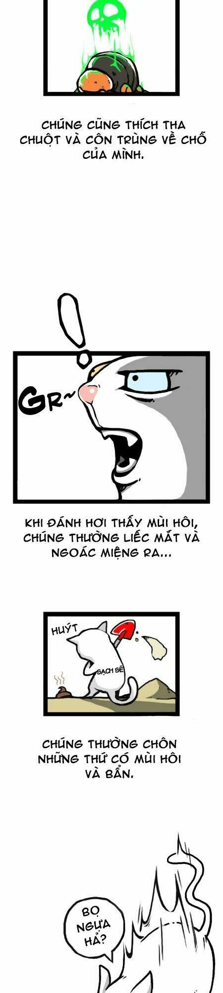 earth, human, and animal chapter 12 14