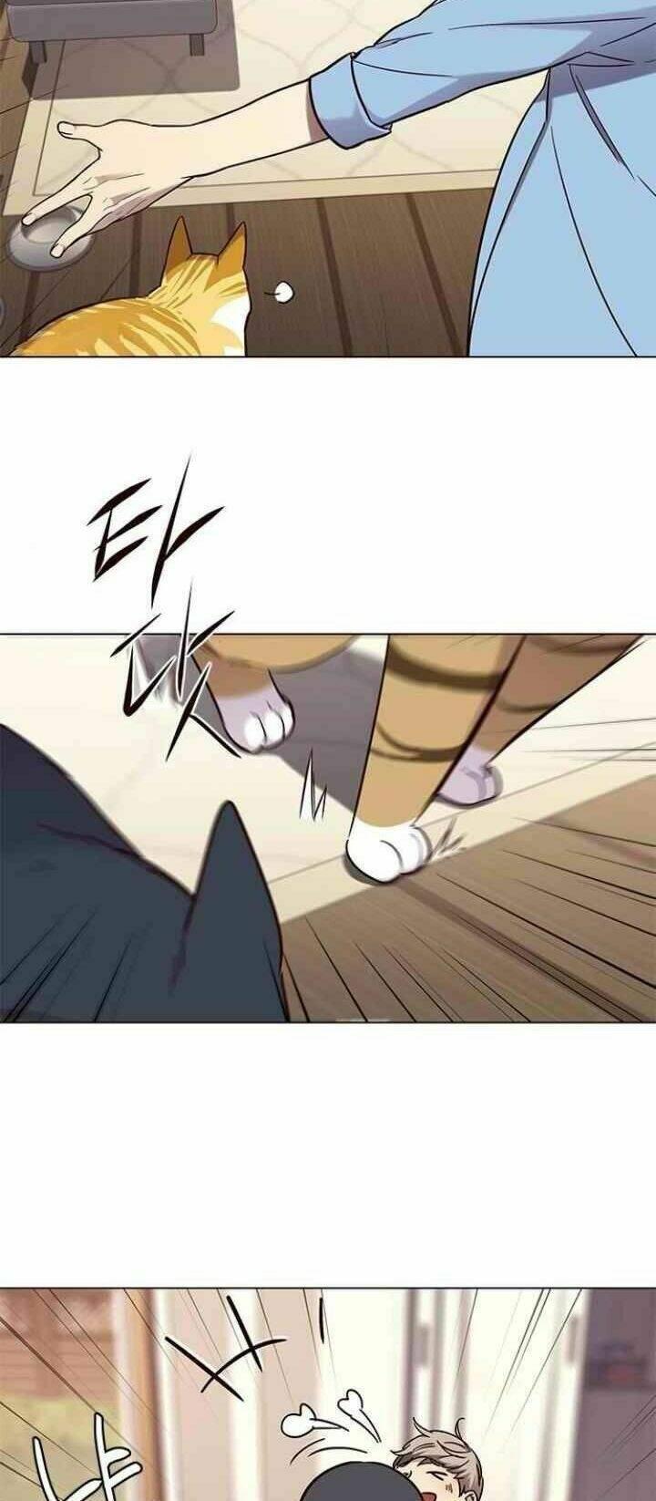 biến thân thành mèo chapter 99 64