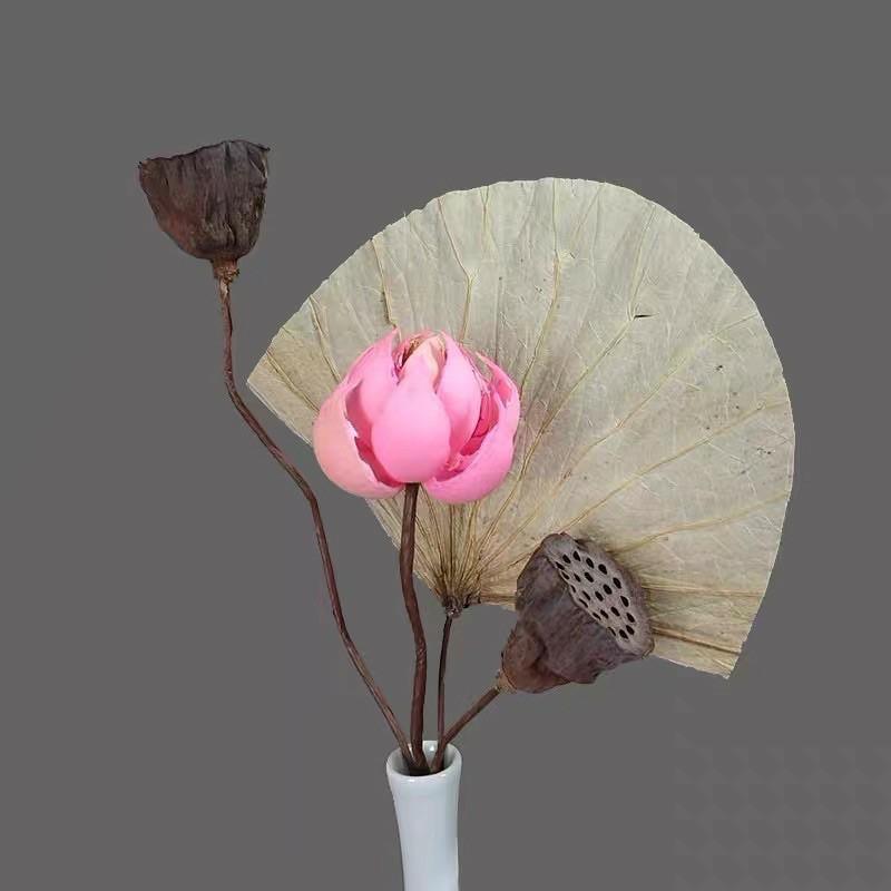 Hoa sen khô giả decor trang trí có sẵn