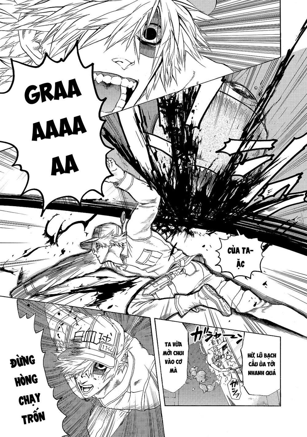 hataraku saibou! chapter 17 21