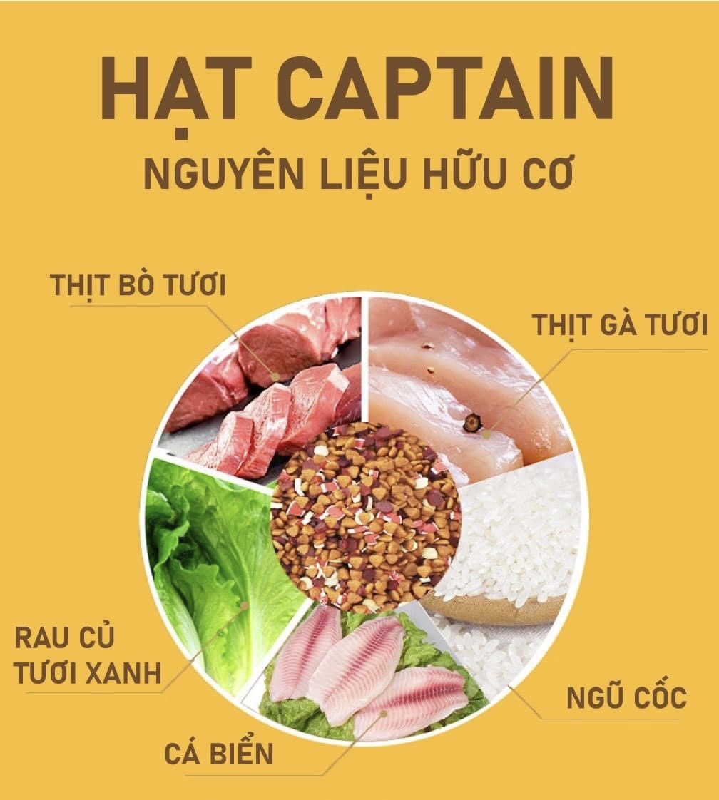 (0.5-1kg) (HÀNG CHUẨN DATE MỚI) Thức ăn khô cho chó Captain vị phomai, bò, cá hồi và chà bông