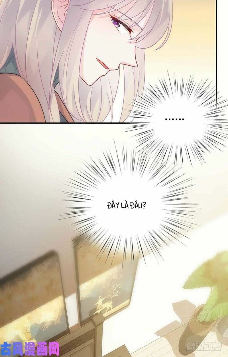 chọc tới chủ tịch tổng tài 2 chapter 106 3