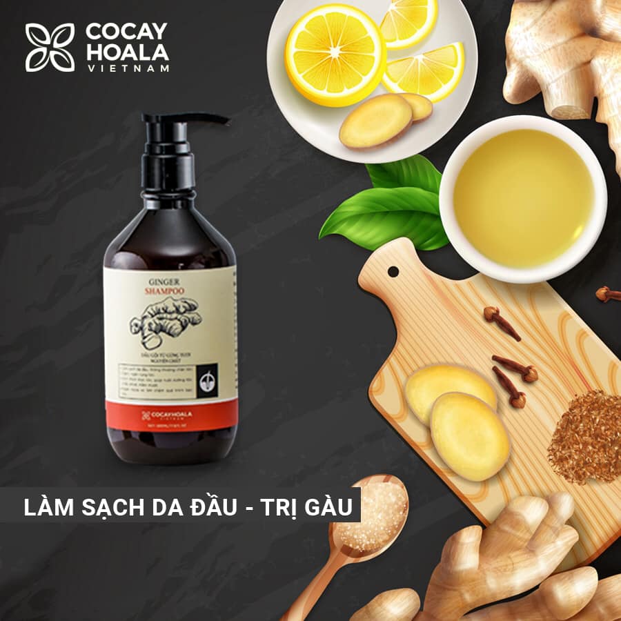 Quà tặng cho mẹ bầu & sau sinh - Combo chăm sóc sức khỏe và cơ thể toàn diện cho mẹ bầu và sau sinh hoàn toàn thiên nhiên từ COCAYHOALA - Giữ ấm, Sạch Khuẩn, Phòng cảm cúm