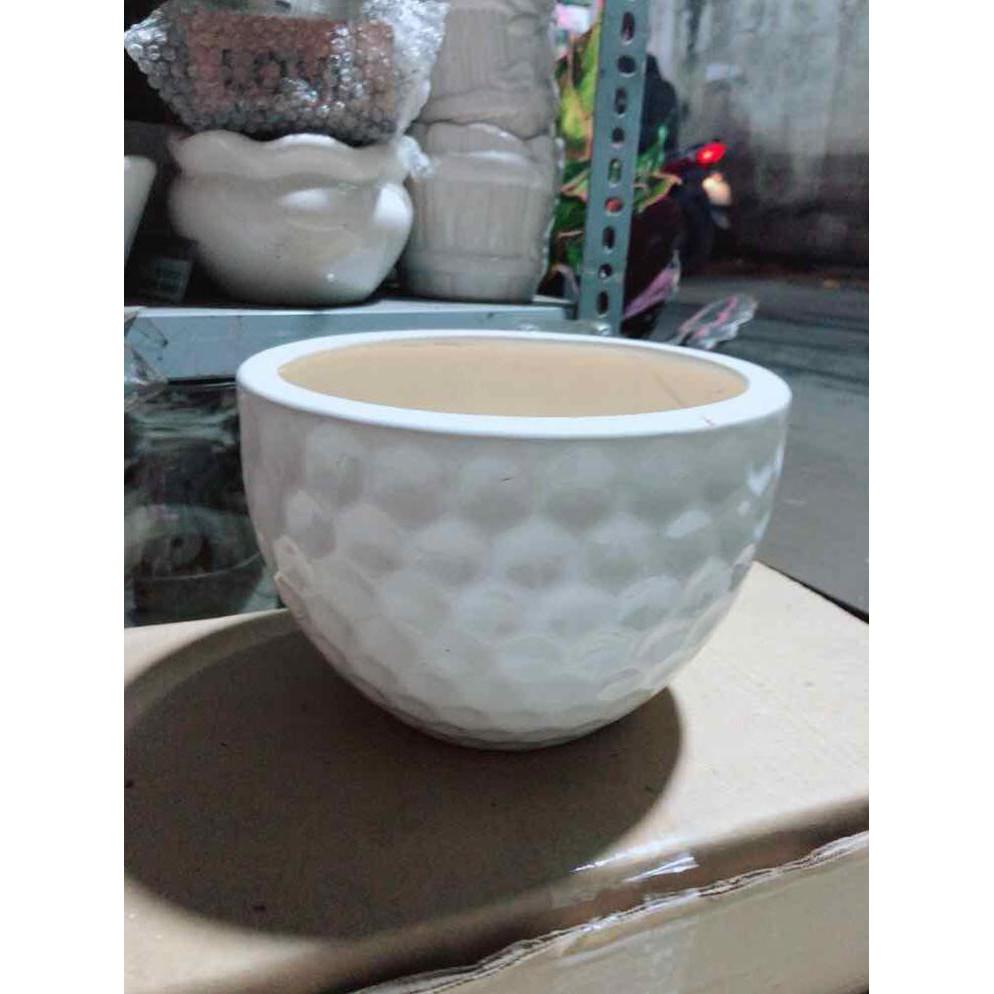 Chậu Trồng Cây Bán Chạy