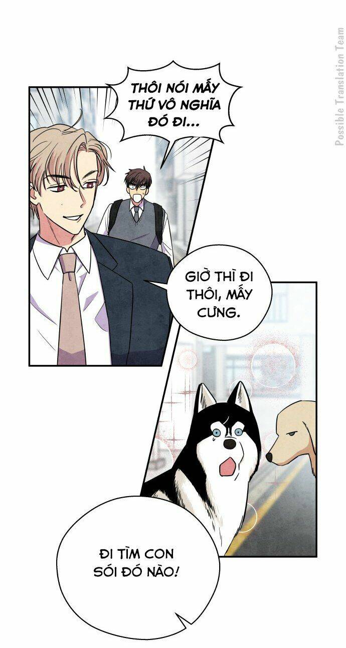 tai sói và mũ đỏ chapter 32 26