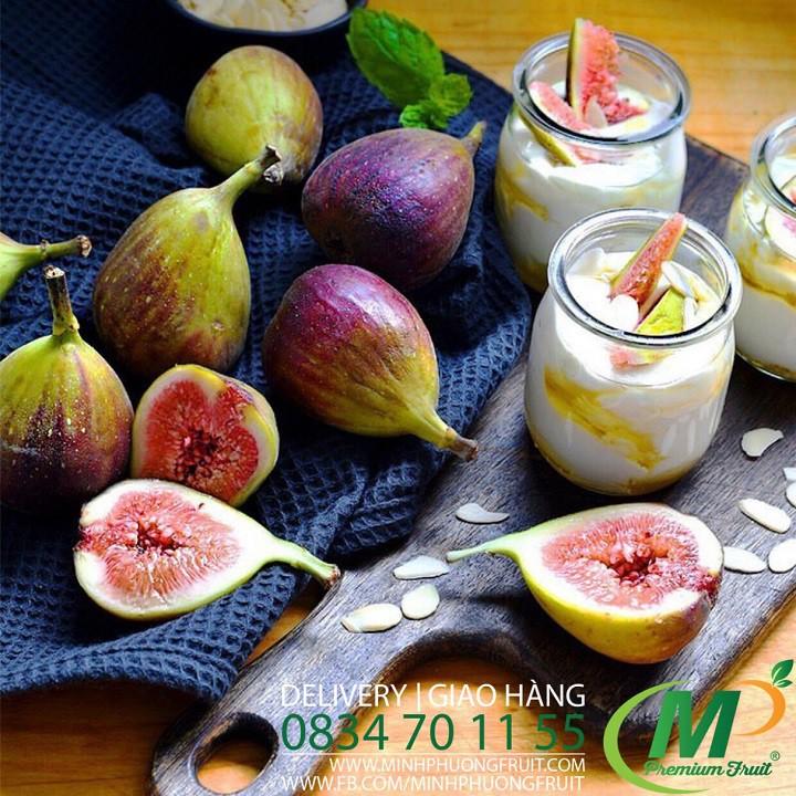 CÂY GIỐNG SUNG MỸ CAMY QUẢ TO SIÊU NGỌT