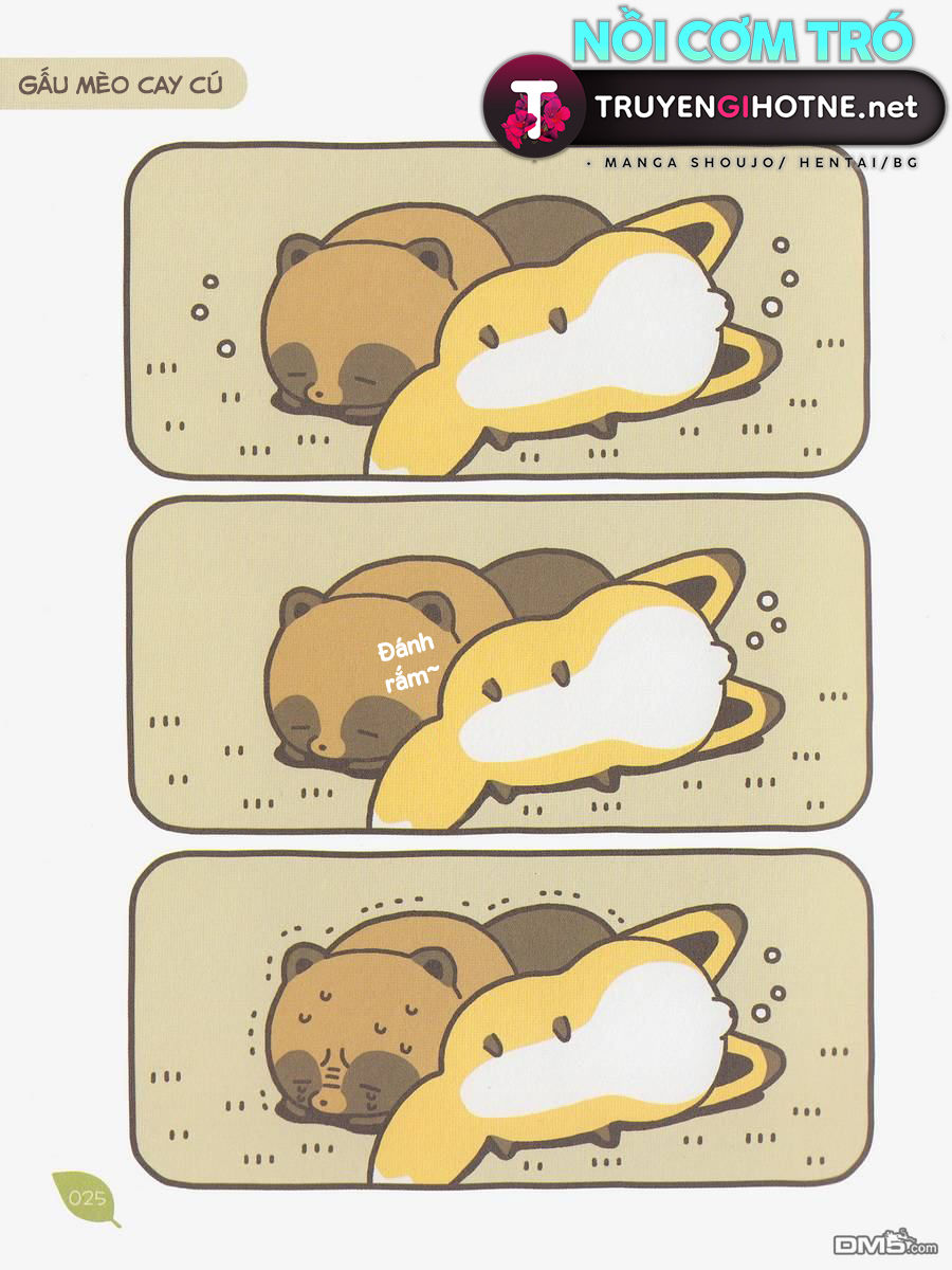 cáo và gấu mèo chapter 2 13