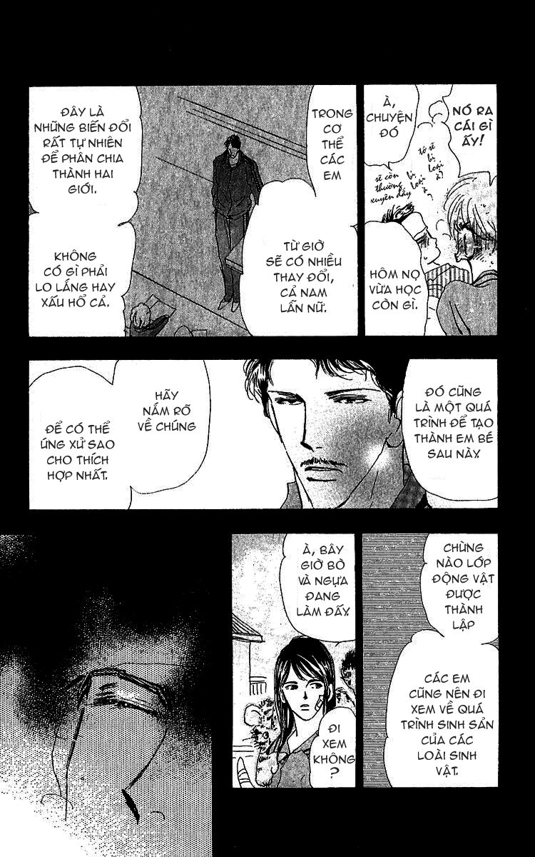 mầm sống chapter 78 11