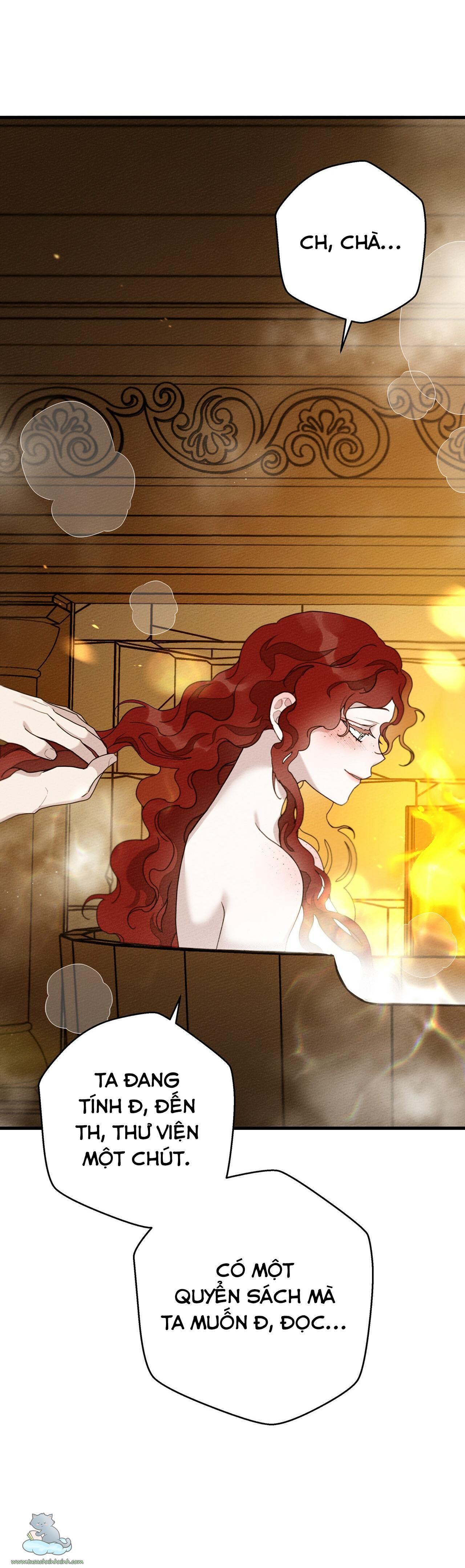 dưới tán cây sồi chapter 41 10