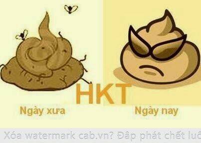 hình ảnh hài hước new chapter 24 7