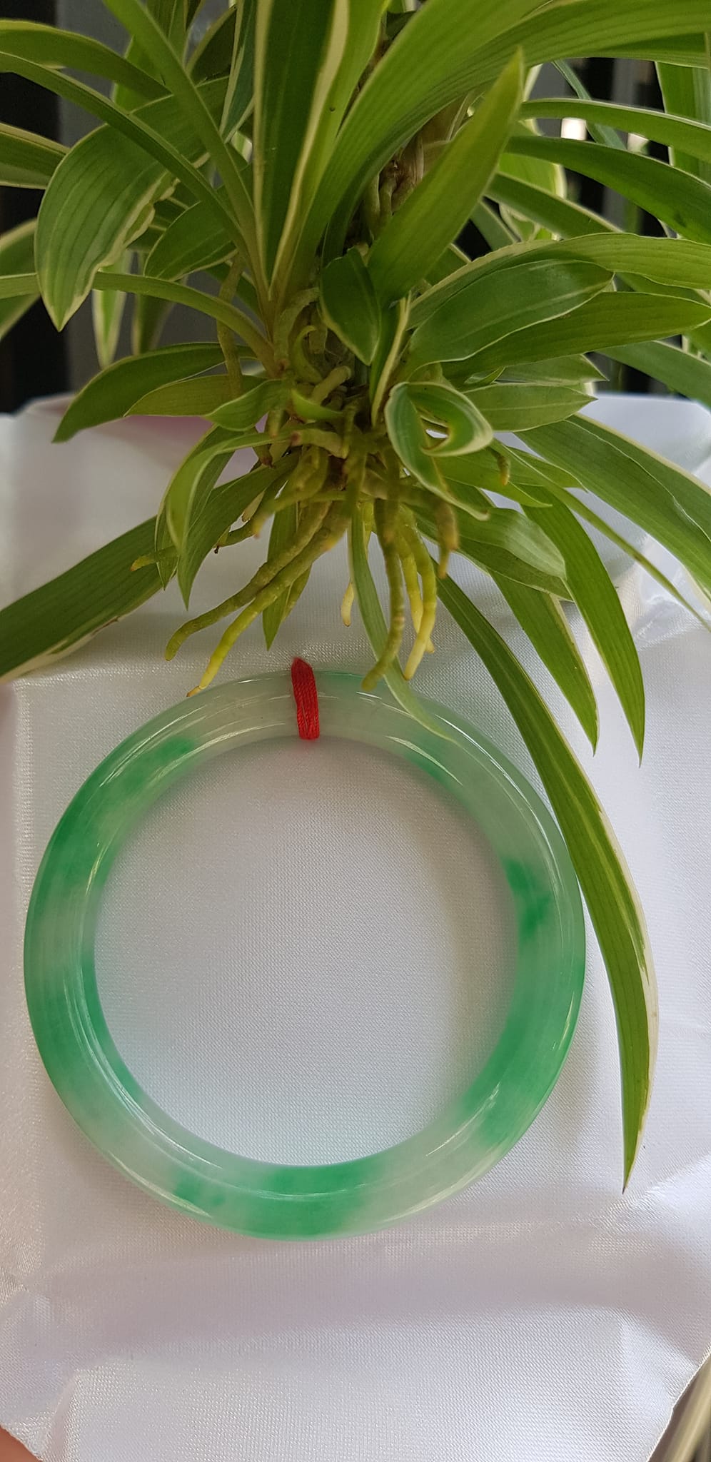 Vòng tay nữ đá Cẩm Thạch tự nhiên mới TR LÝ IC 54mm x chột to 9mm vòng màu trắng xanh lý đẹp nữ 52kg - 56kg đeo ạ