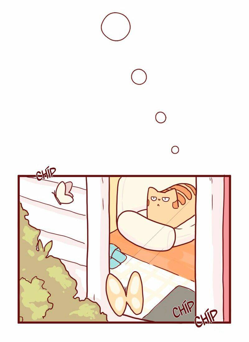 saphie: chú mèo một mắt chapter 15 7