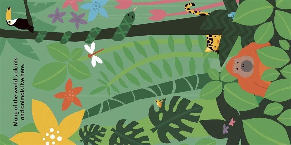 Sách ngoại văn: Eco Baby - Rainforests