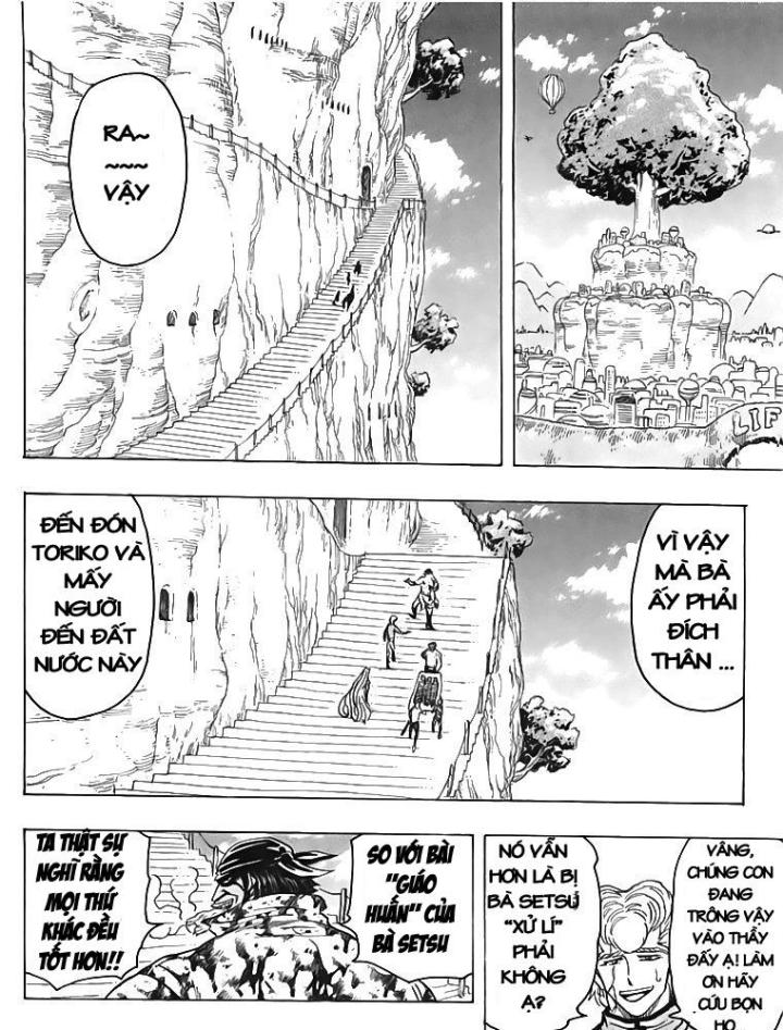 thánh tỏi sành ăn chapter 95 12