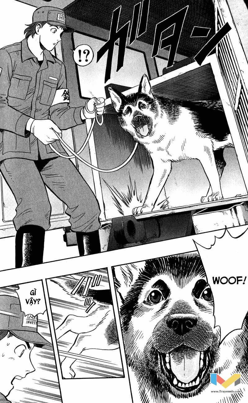 animal sense chapter 8 27