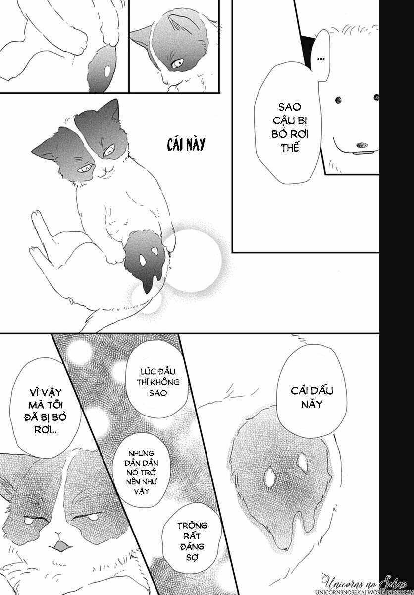 kimi to wonderland chapter 5 19