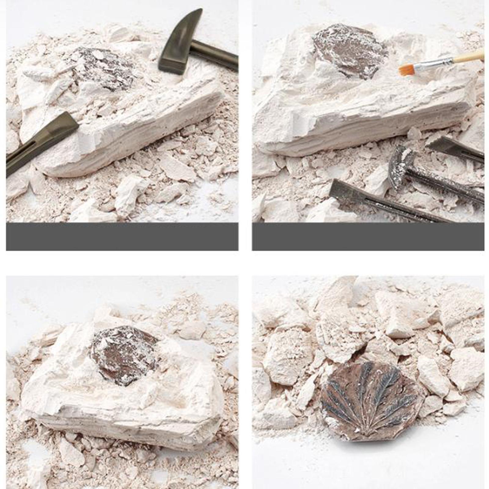 Dinosaur Excavation Kit Archaeology Discovery Kit for Toddler