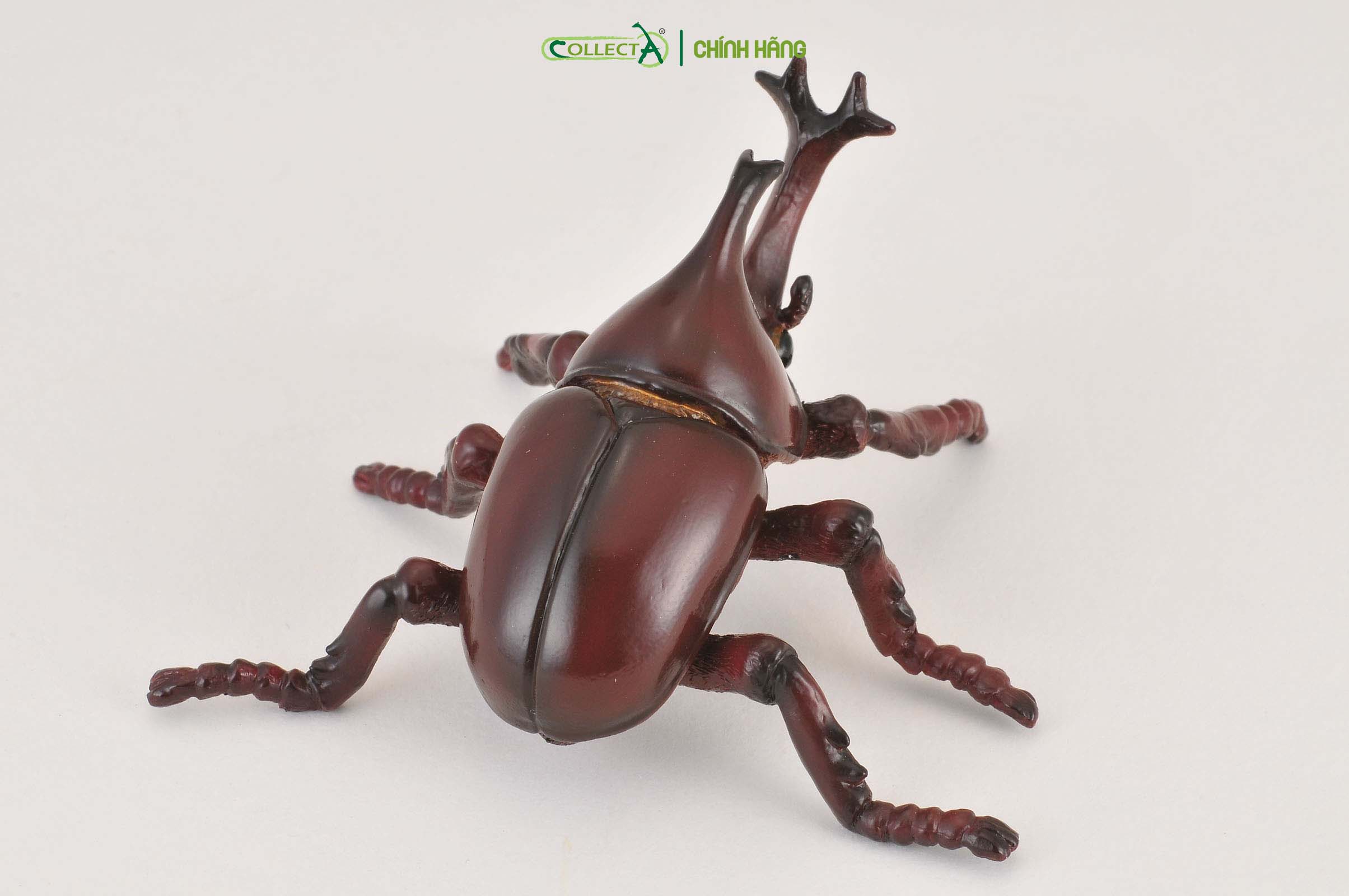 Mô hình thu nhỏ: Kiến Vương - Rhinoceros Beetle, hiệu: CollectA, mã HS 9653100[88337] -  Chất liệu an toàn cho trẻ - Hàng chính hãng