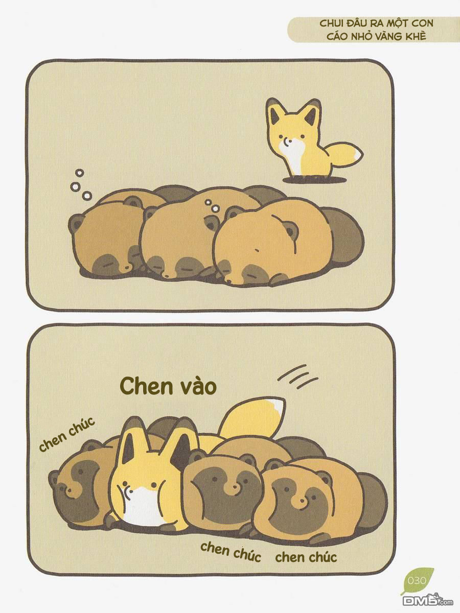 cáo và gấu mèo chapter 3 6