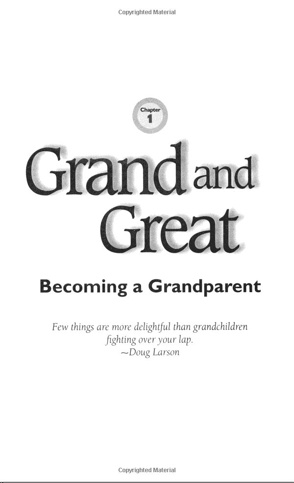 Chicken Soup for the Soul: Grand and Great: Grandparents and Grandchildren Share Their Stories of Love and Wisdom