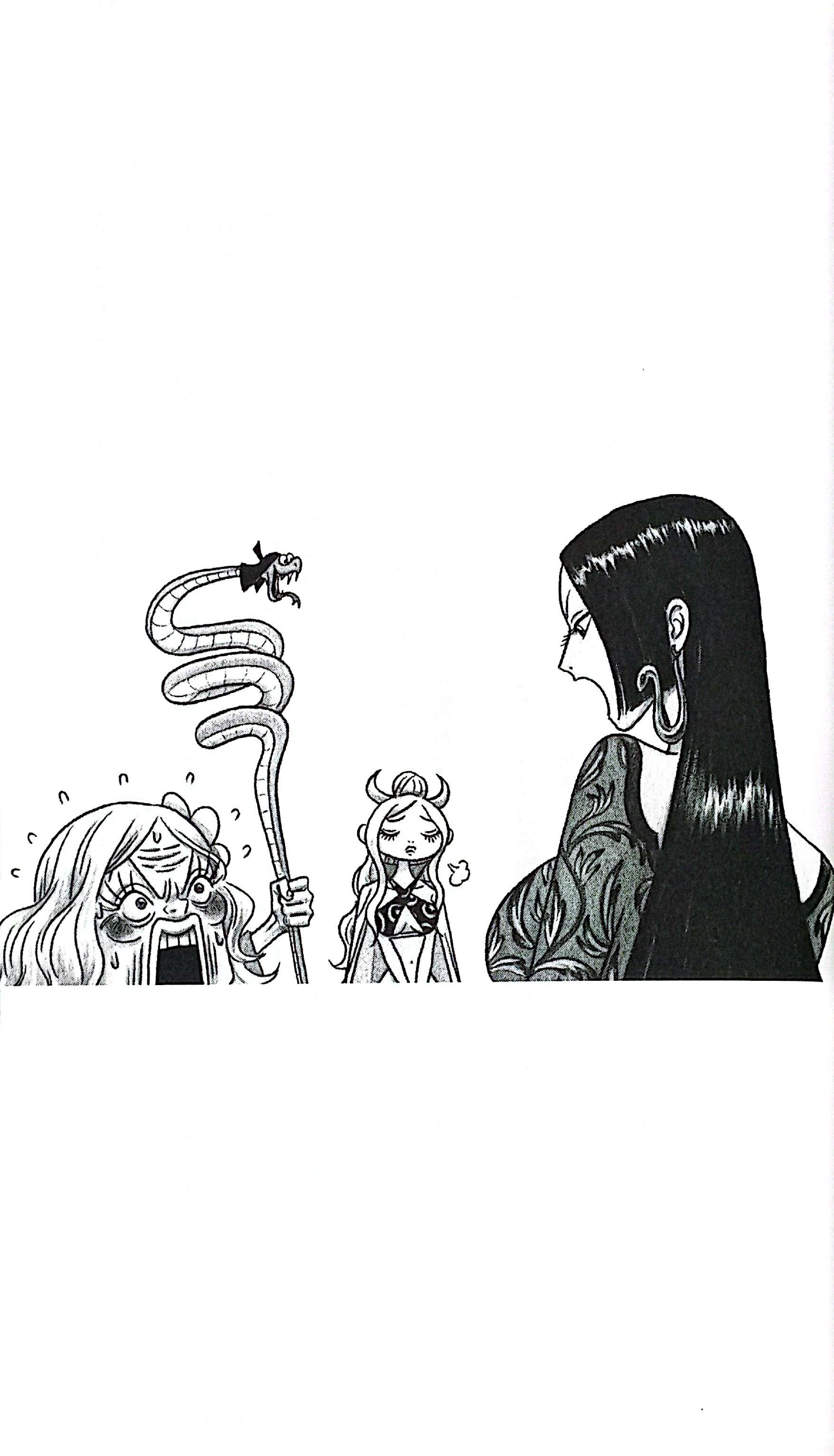 Sách ngoại văn: ONE PIECE Novel HEROINES (Japanese Edition)