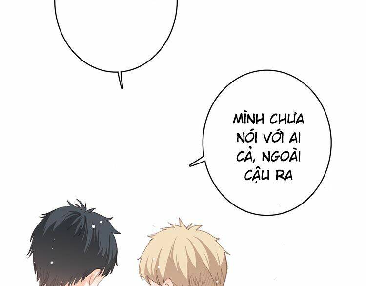 con tim rung động 3 chapter 19 151