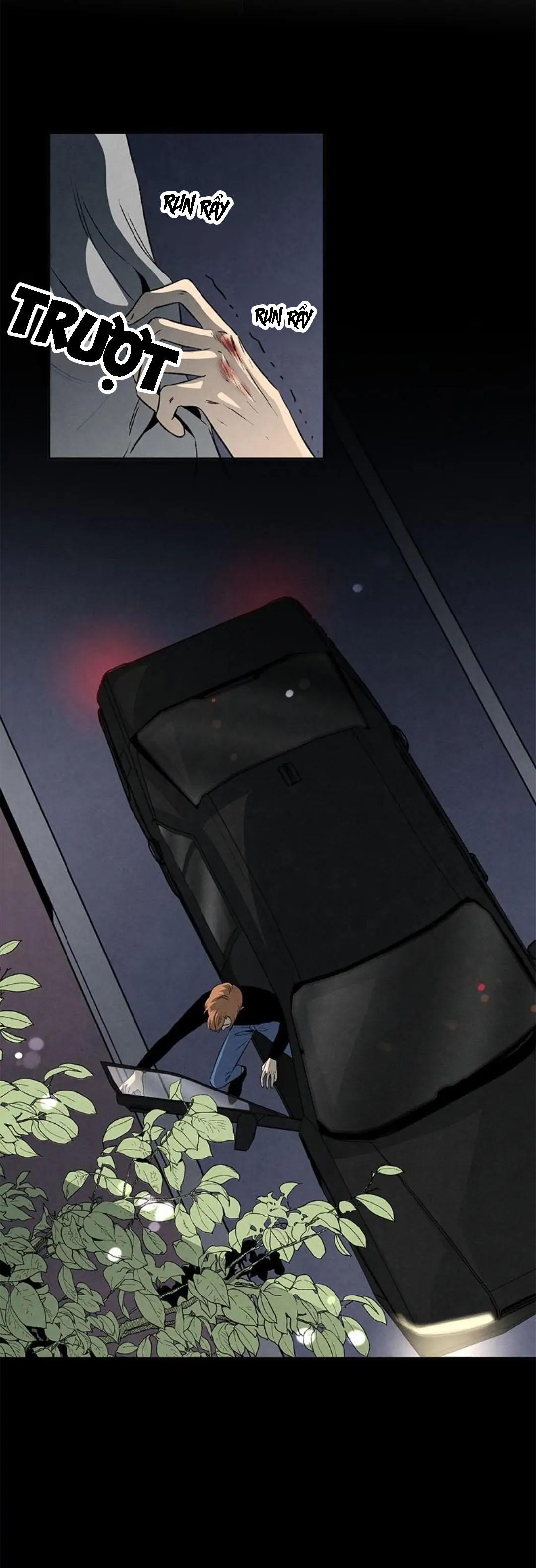 bona sort chapter 31 6