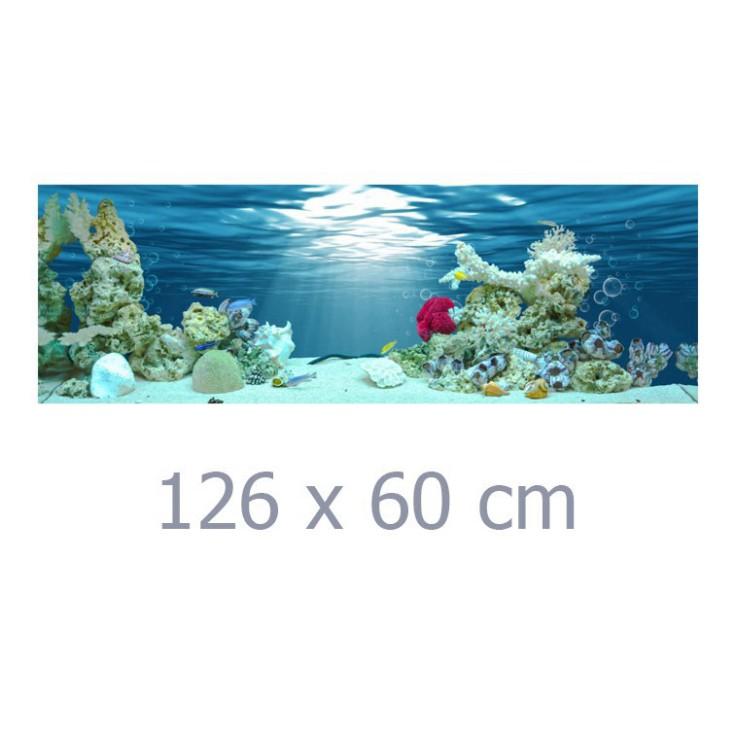 Tranh dán tường Phông Nền 3D Dán Hồ Cá Aqua_040 KT 126 x 60 cm