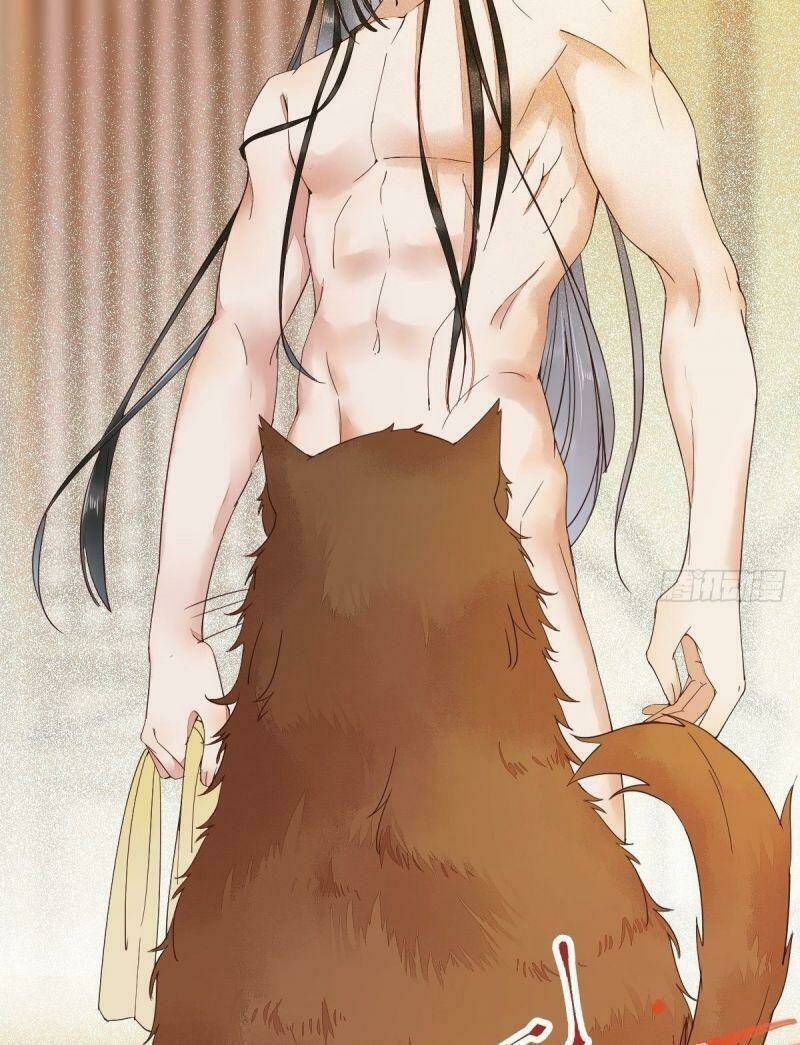 sát thủ vương phi không dễ chọc chapter 40 49