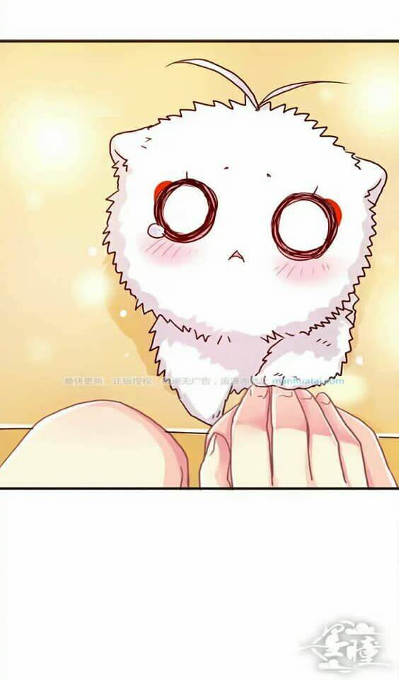 tân quang thiên chapter 37 8