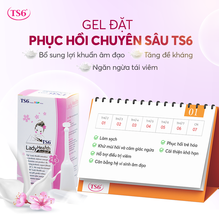 Gel đặt lợi khuẩn TS6