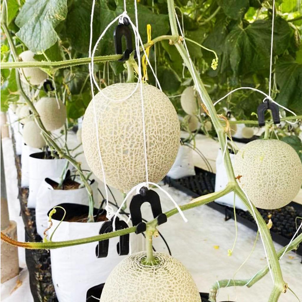 DÂY TREO DƯA LƯỚI, DÂY TREO CÀ CHUA, SỢI SE NÔNG NGHIỆP