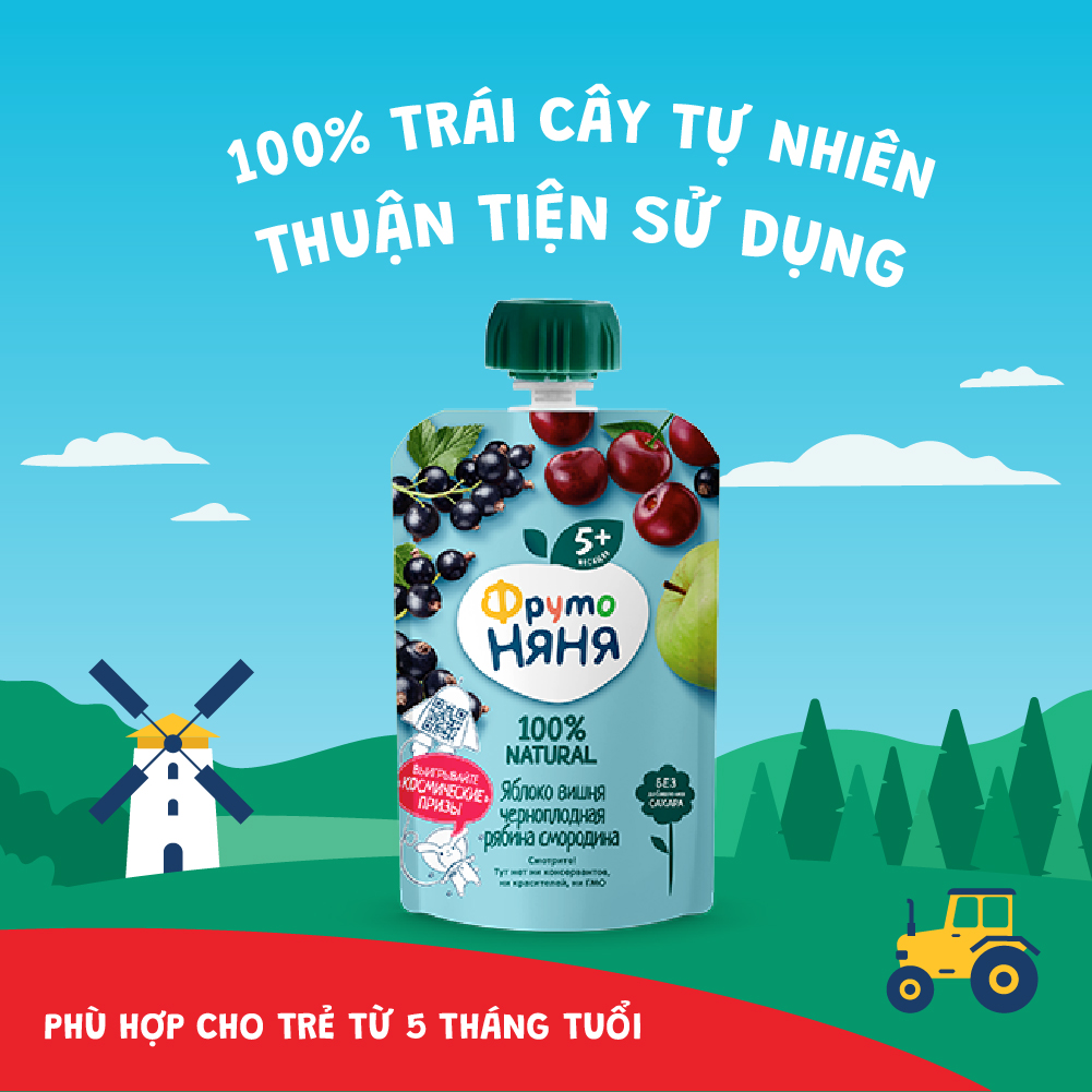 Combo 6 Gói Trái cây nghiền vị táo, cherry, quả lý chua và thanh lương trà Fruto Nyanya 90g