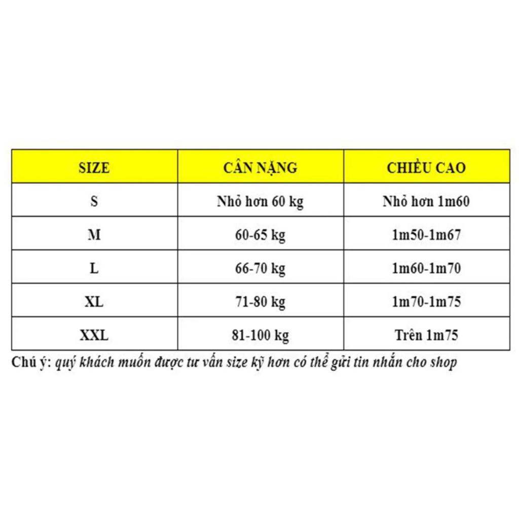 Quần đùi nam Việt Tiến chất liệu 100% cotton siêu thoáng mát quần mặc nhà hoặc đi du lịch VT125 - giao màu ngẫu nhiên